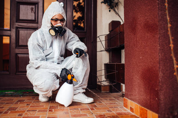 Attic and Crawl Space Rodent Treatment in Monmouth Junction